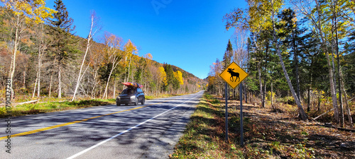 Trees with autumn foliage along a road in Mont Tremblant National Park, Quebec, Canada