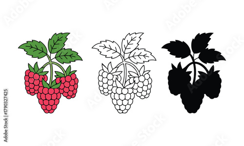 Raspberry plant berry fruit icon set design element