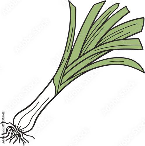 leek vector art