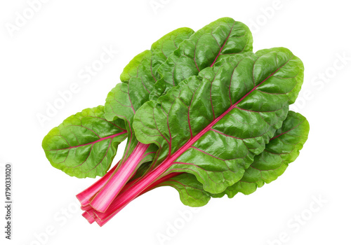 Isolated bunch of fresh chard with green leaves and reddish stems, healthy and raw food