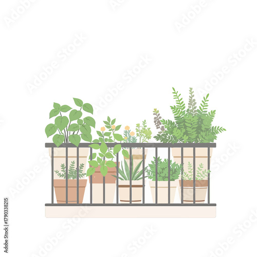 Balcony garden with various potted plants and herbs in ceramic containers on a railing