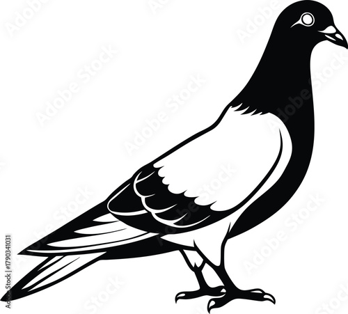 pigeon silhouette