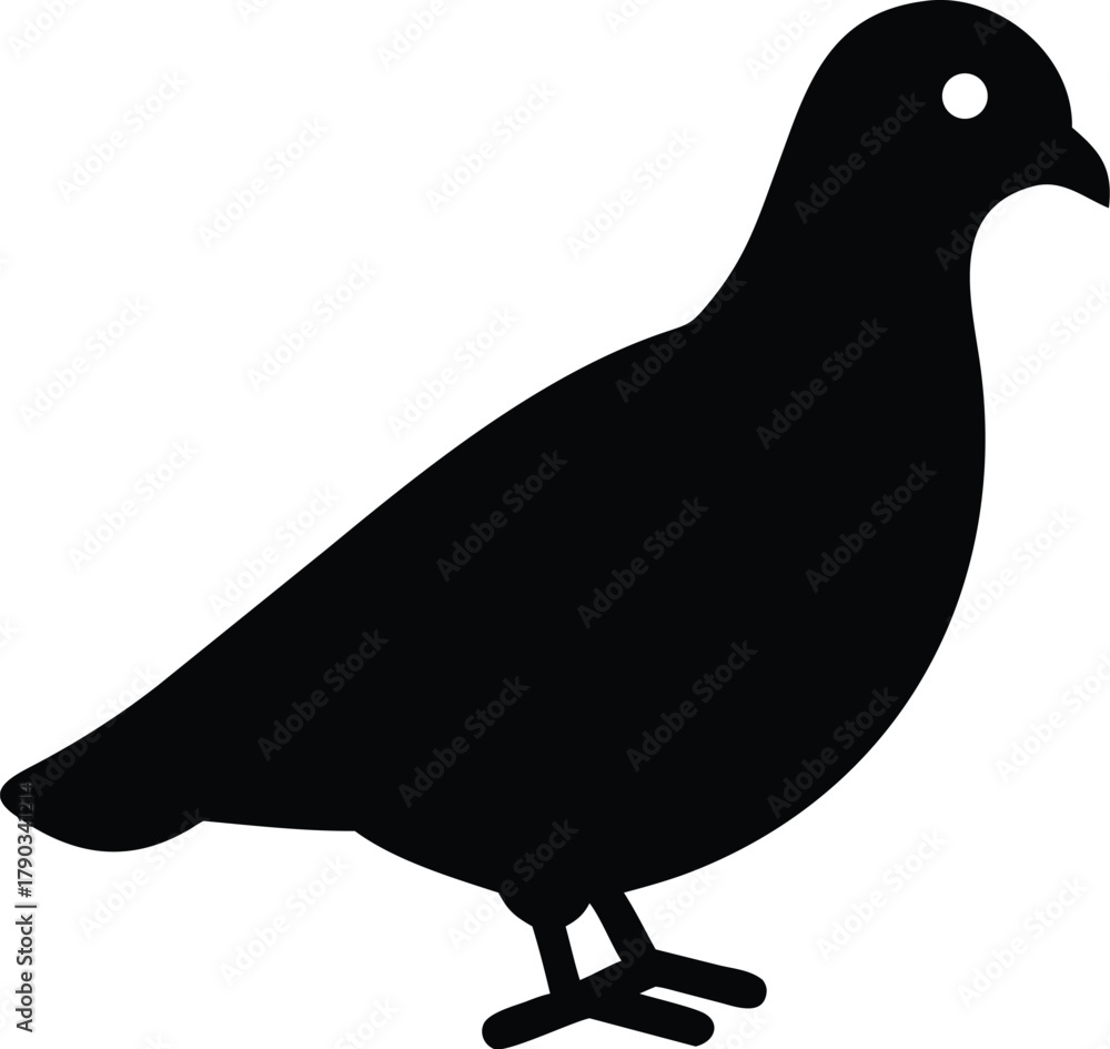 Obraz premium pigeon silhouette