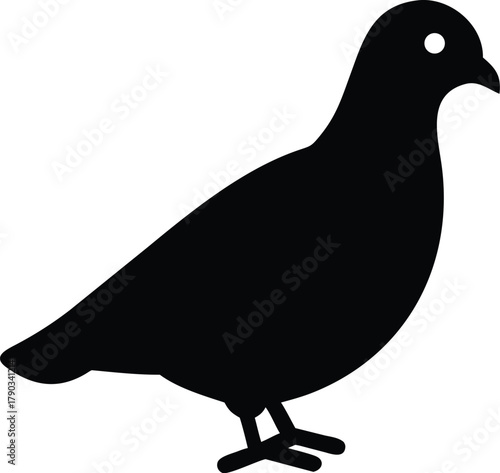 pigeon silhouette