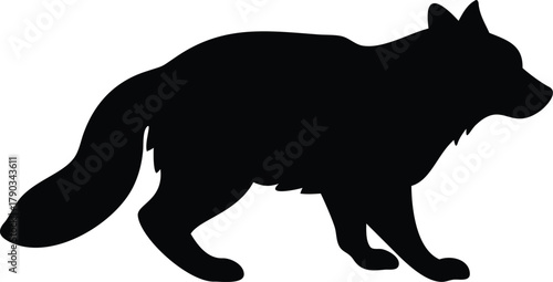 raccoon silhouette 