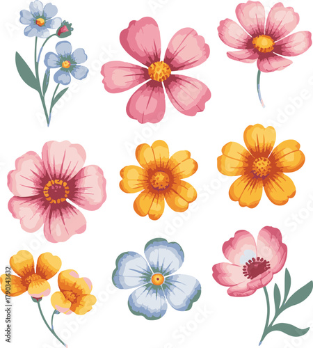 pink and white flowers