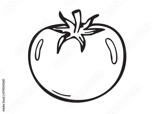 vector illustration of a Tomatto