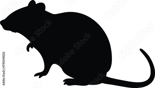 rat silhouette