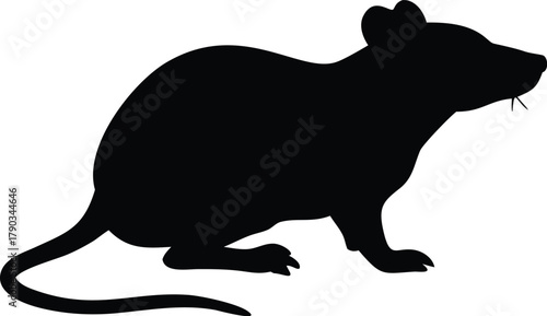 rat silhouette
