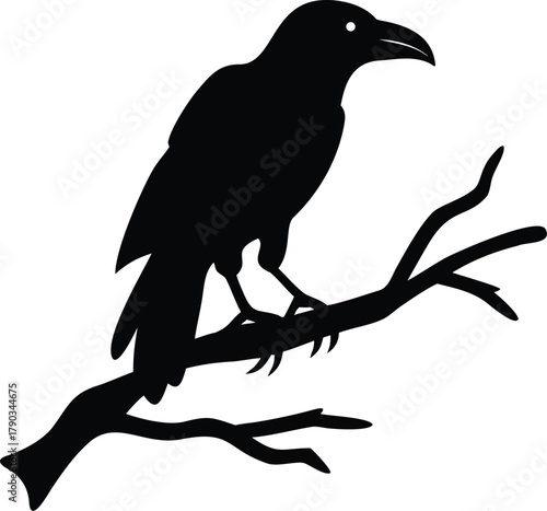 raven bird silhouette on a dead tree branch