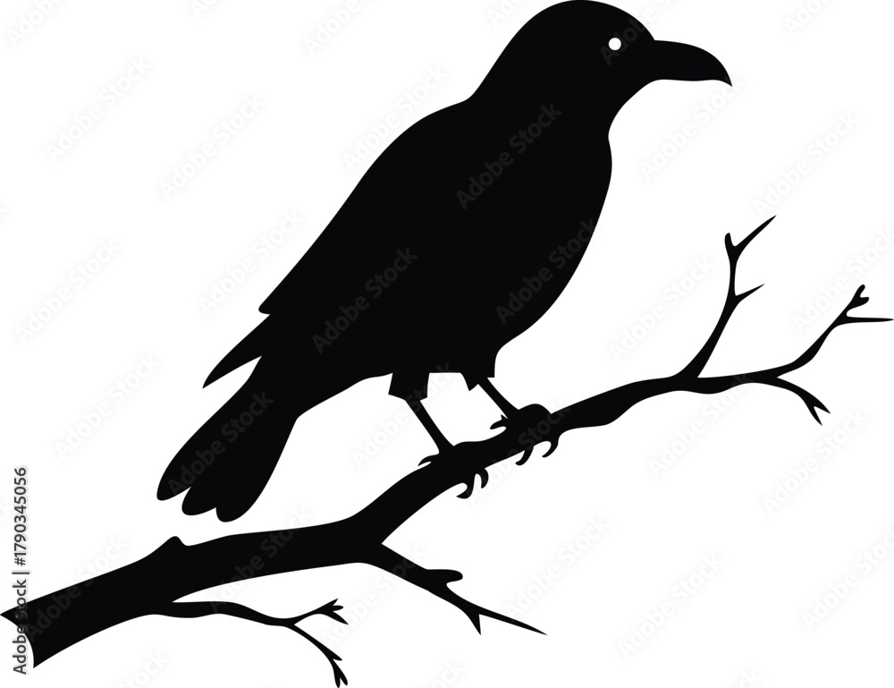 Obraz premium raven bird silhouette on a dead tree branch