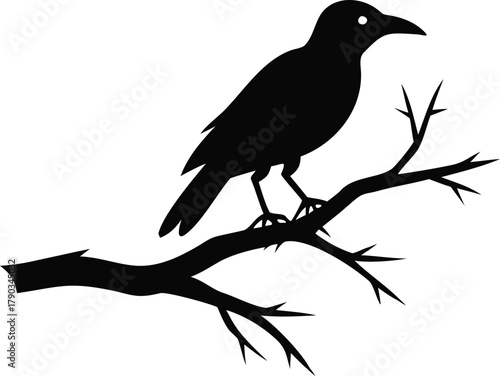 raven bird silhouette on a dead tree branch