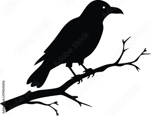raven bird silhouette on a dead tree branch