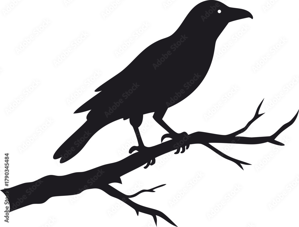 Fototapeta premium raven bird silhouette on a dead tree branch