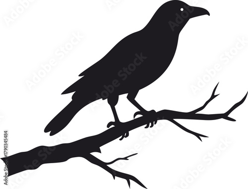 raven bird silhouette on a dead tree branch