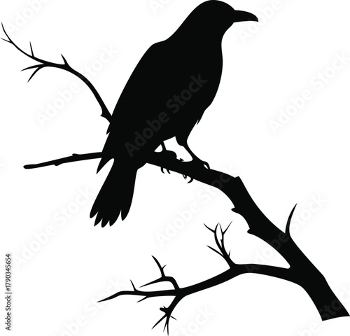 raven bird silhouette on a dead tree branch