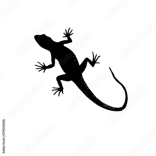 Gecko silhouette on white isolated background.