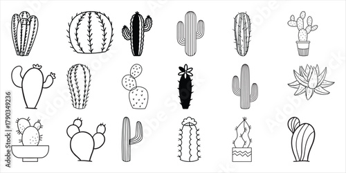 Collection of Hand-Drawn Cactus Illustrations in Various Styles