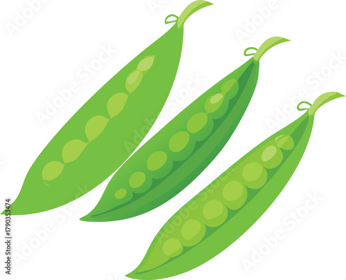 snow peas vector art