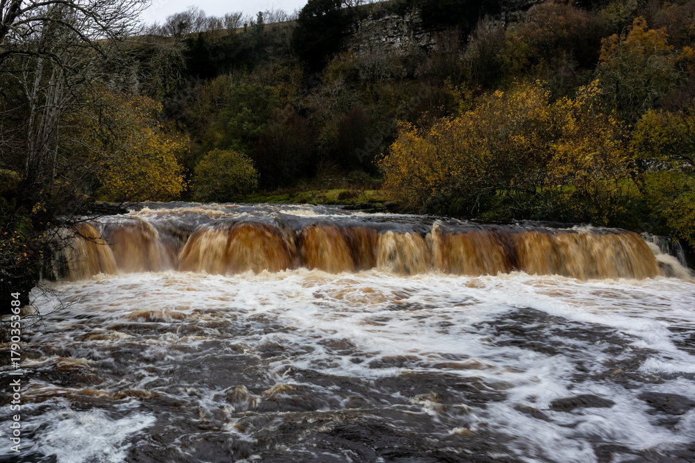 Fototapeta premium Flowing water of Wain Wath Force surrounded by autumn trees