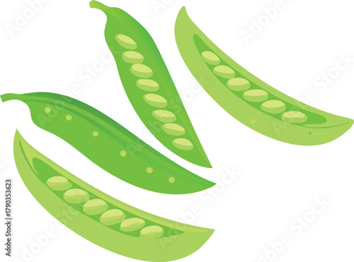 snow peas vector art