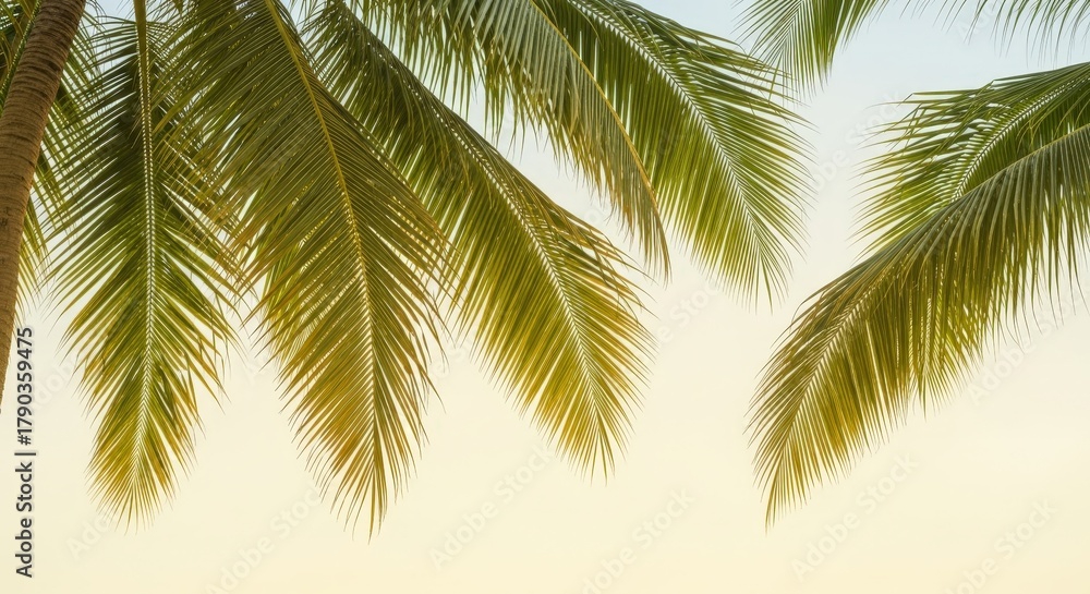 Naklejka premium Lush Green Palm Leaves Against a Soft Colorful Sky at Sunset Dual Composition