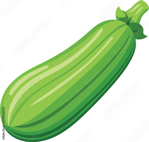 zucchini vector art