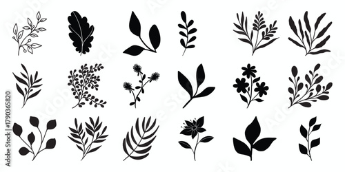 Collection of Black Silhouette Botanical Elements and Floral Designs