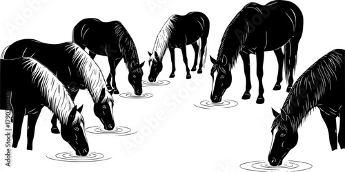 Horse silhouettes drinking water, minimal style, black vector animals, ripple effect, nature behavior, grazing pose, wildlife illustration, peaceful scene, stock content