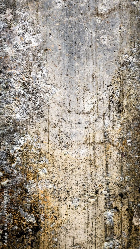 Obraz premium old aluminum sheet with visible texture. background