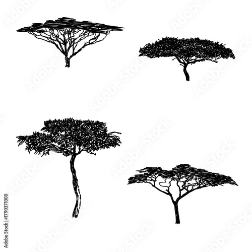 African savanna trees, vector sketch