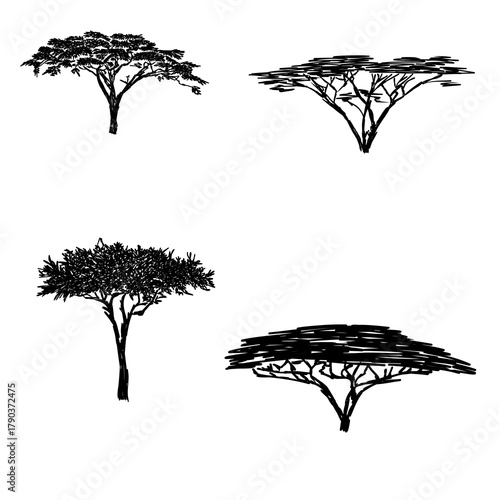African savanna trees, vector sketch