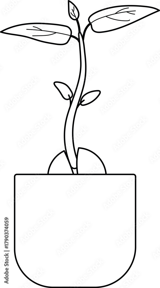 Naklejka premium Coloring page with sprout of avocado plant (Persea americana) 