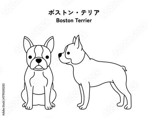 ボストンテリアの全身 線画イラストセット（ベクター）