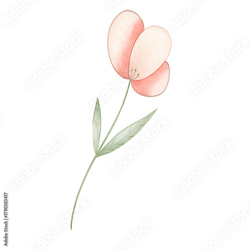 Foto Watercolor pink flower clipart, delicate floral illustration