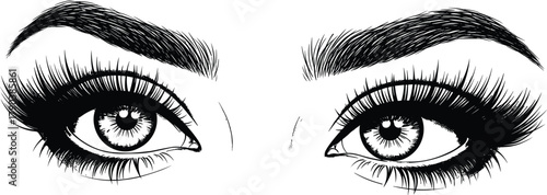 Beautiful female eyes drawing, detailed eyelashes and eyebrows illustration, fashion makeup art, beauty eye sketch, cosmetic design concept