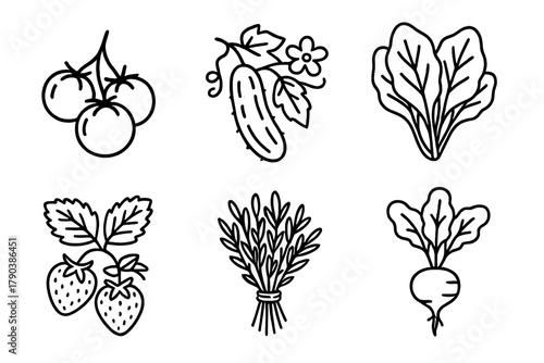 Locally Grown Icons. Line style icons of locally grown produce: tomato cluster, cucumber vine, leafy greens, strawberry plant,