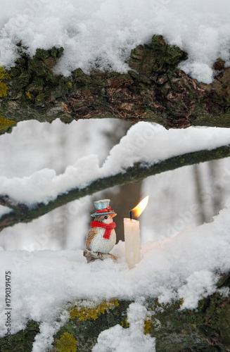 winter landscape with candle and cute Christmas toy bird on snowy tree close up, nature background. fairy tale, mystery atmosphere. Christmas, New Year, Yule Holidays. witchcraft, magic ritual