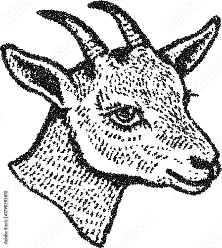 Goat head portrait in stipple dotwork, rustic farm animal illustration, monochrome vector engraving with calm expression and curved horn