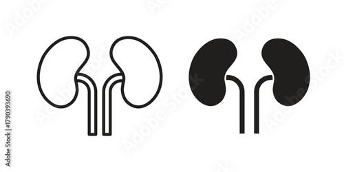 Kidney icon vector with glyph style. Stroke liner icons
