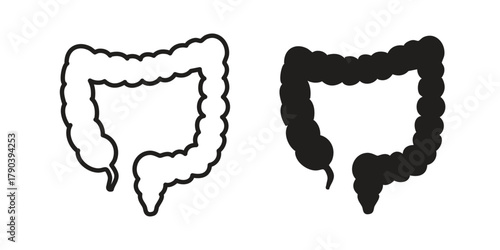 Large intestine icon vector with glyph style. Stroke liner icons