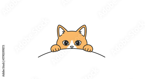 An orange tabby cartoon cat peeks over a white surface, looking directly at the viewer with wide, curious eyes.