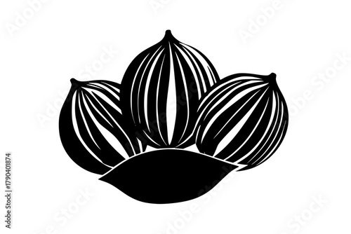 Whispers Spice: Trio Nutmegs Unison | Clean, isolated vector art for creative projects.