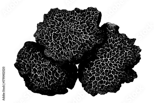 study contrast: Truffles rock formations | Clean, isolated vector art for creative projects.