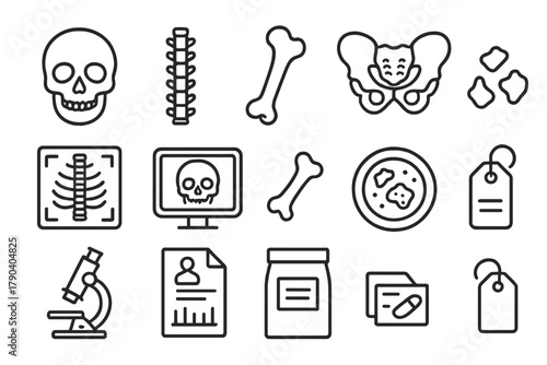 Forensic Analysis Icons. Line style icons of Human Remains Analysis: skull, spine, femur, pelvis; x-ray, CT scan, bone fragments,