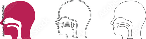 Throat Icon set represents human health, medical care. This premium vector concept focuses on the throat area, depicting the neck and respiratory system as a symbol of voice, breathing, and wellness.