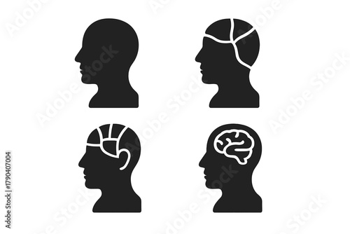 Antique Phrenology Model. Solid style icons of Antique Scientific Model: Head, Painted Sections, Phrenology, Pseudoscience,