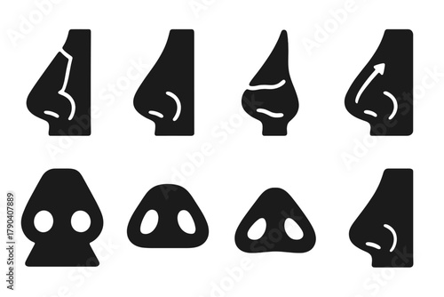 Rhinoplasty Anatomy Icons. Solid style icons of facial anatomy in rhinoplasty: Nasal Bone, Septum Line, Cartilage Layer, Tip