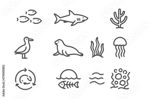 Marine Ecosystem Icons. Line style icons of Marine Ecosystem Interactions: fish school, shark, coral, plankton; seabird, seal,