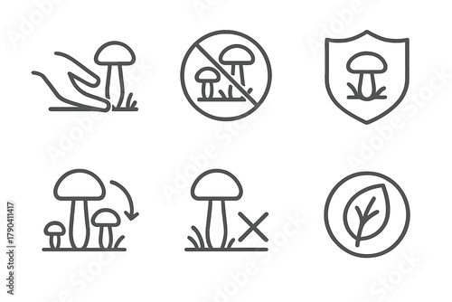 Sustainable Foraging Icons. Line style icons of Sustainable Foraging Practices: harvest with care icon, leave some behind sign,